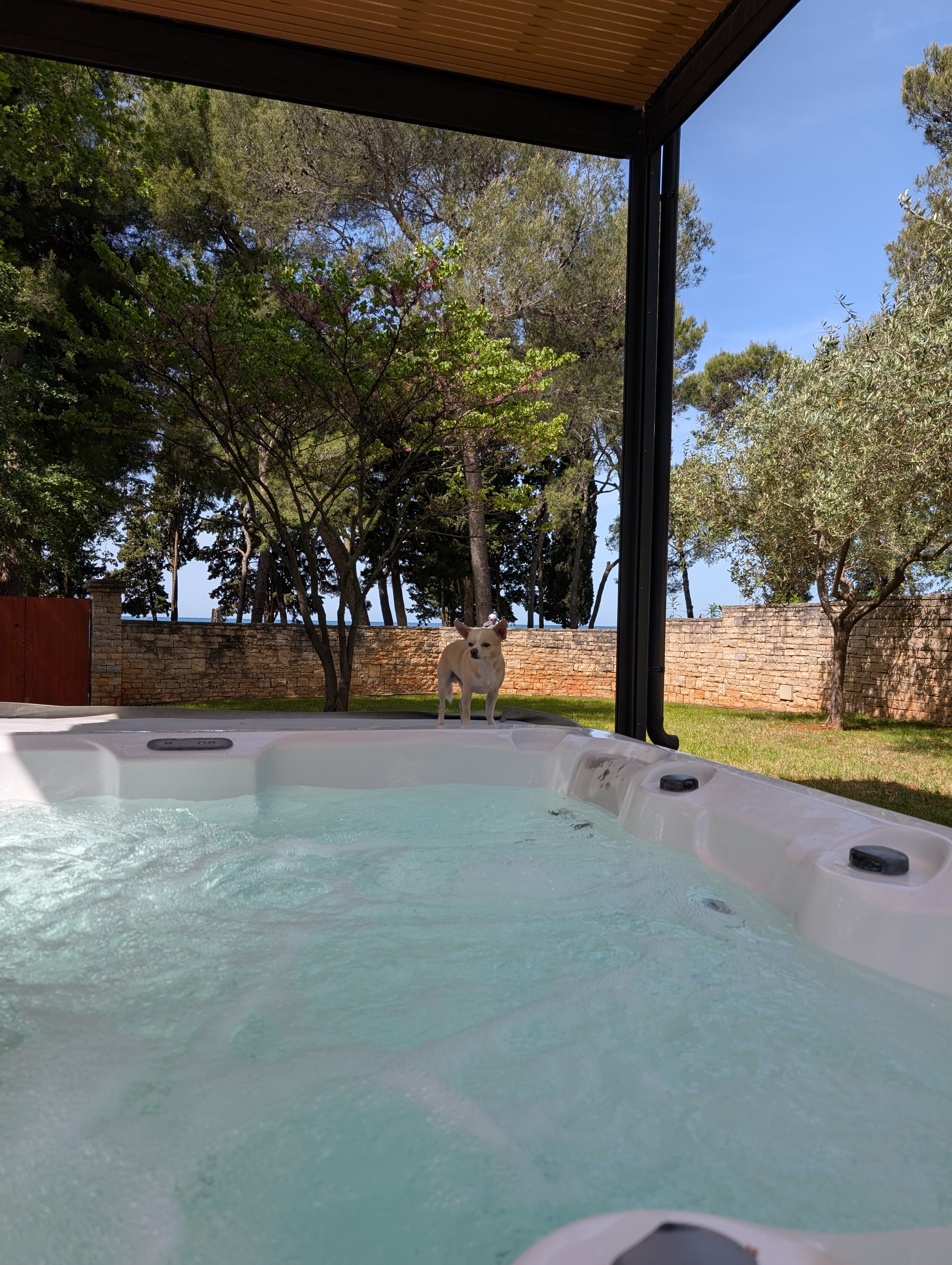 Istrian Villas Plava Laguna-官方