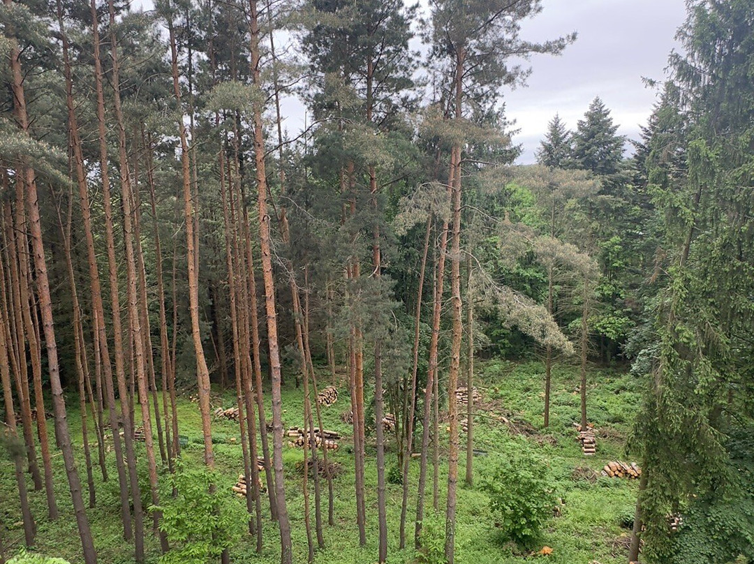 Panorama Hotel Noszvaj主图