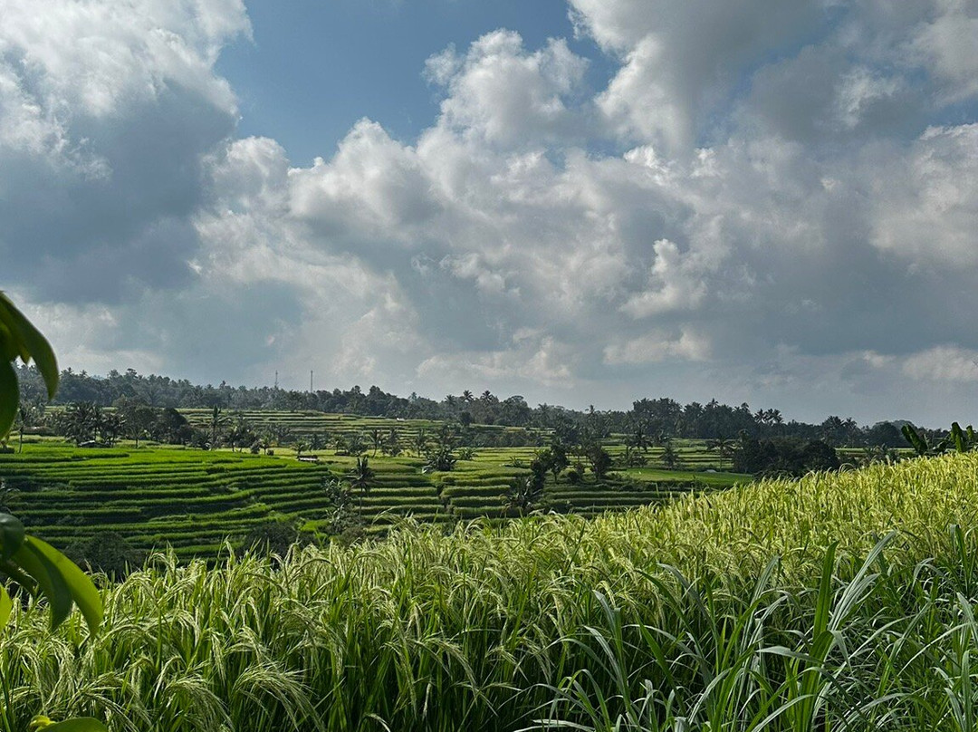 Bali Walking Hiking Adventure - Day Tours-登巴萨必去景点