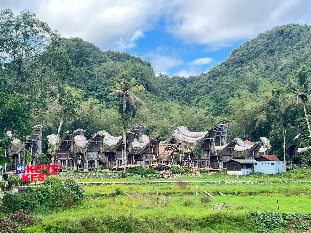 TORAJA TOUR WITH GUIDE SERVICE.景点图片