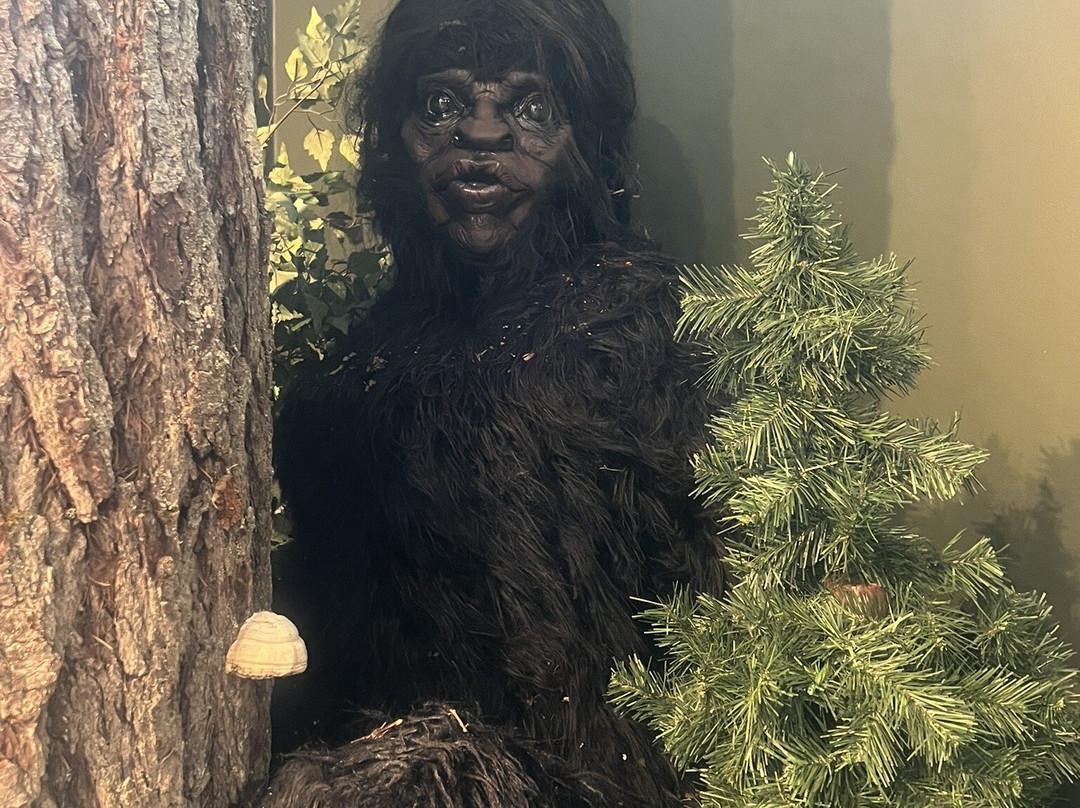 Harrison Visitor Information Centre & Sasquatch Museum-哈里逊温泉必去景点