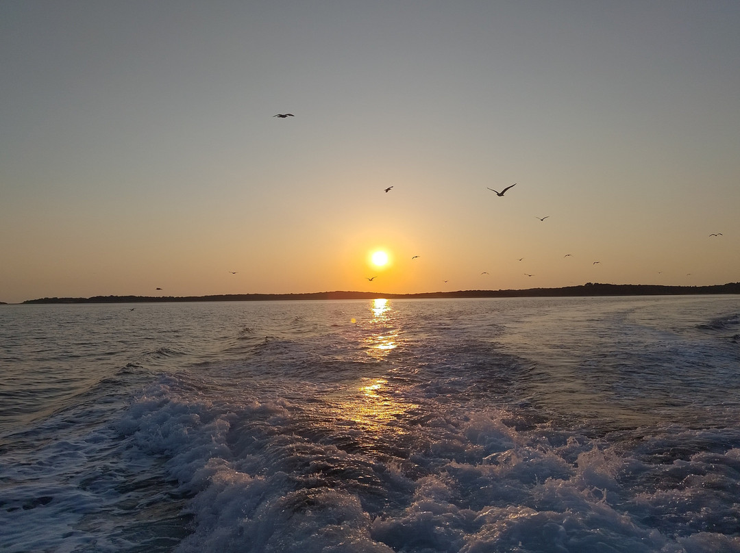 ARENA BOAT TOURS (Pula)-普拉必去景点