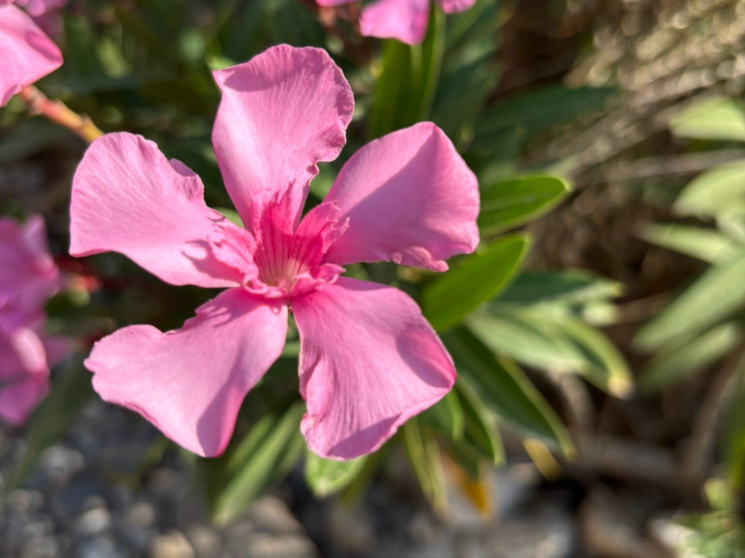 Aspres Apartments主图