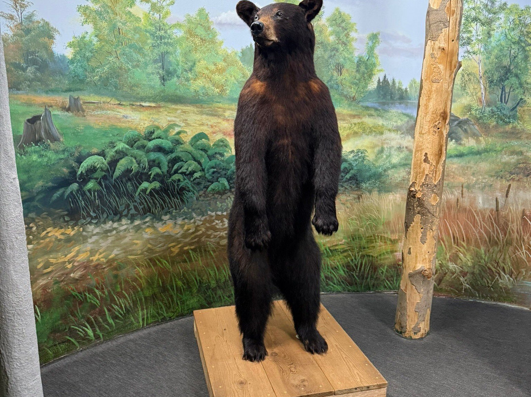 Call of the Wild Museum-Gaylord必去景点