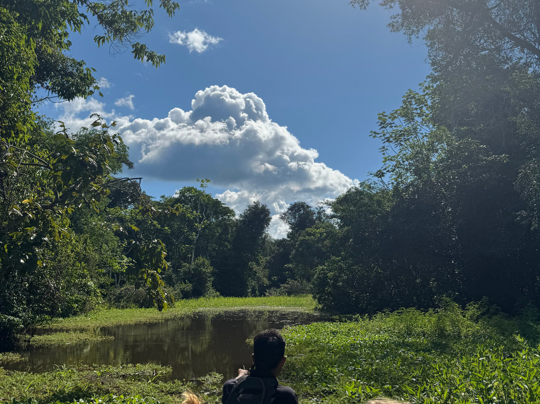 Amazon Jungle Johnny Tours-Puerto Narino必去景点