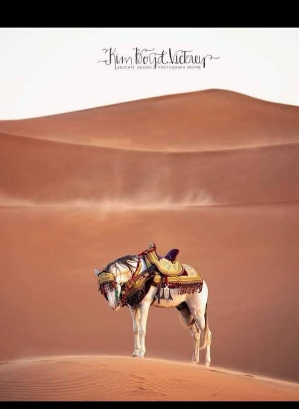 Centre Dar Equestre-阿伊特·本·哈杜筑垒村必去景点