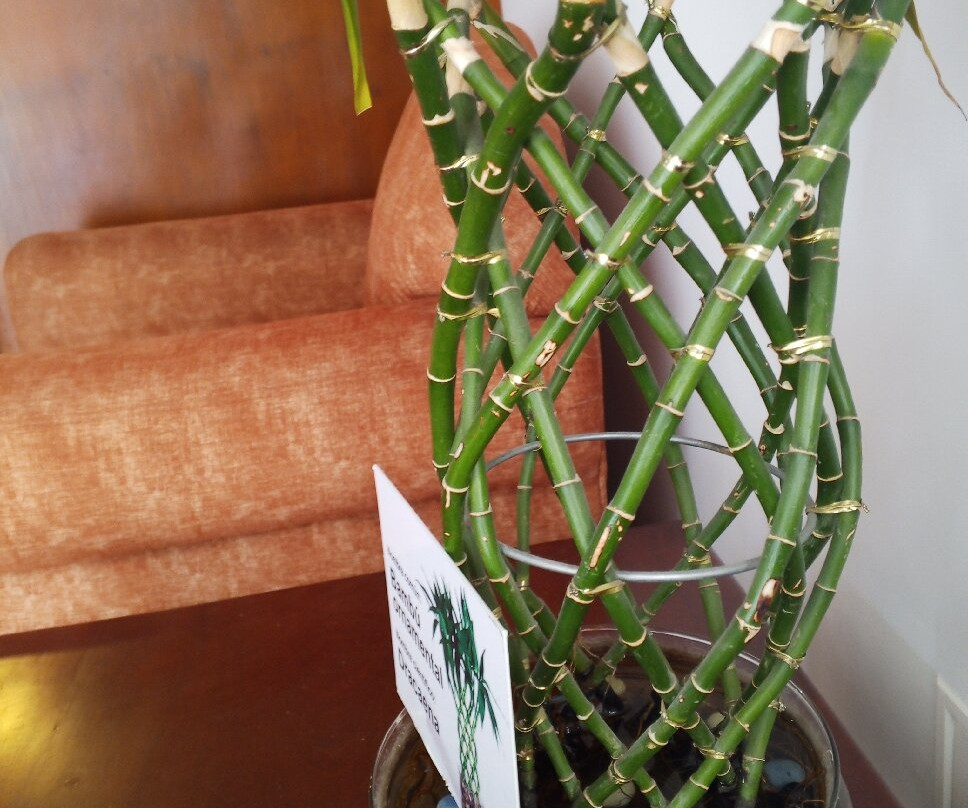 Hotel Frances La Maison主图