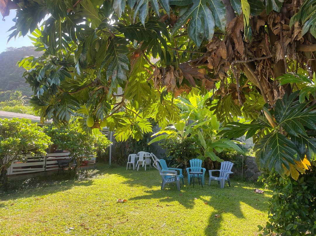 Pension Te Miti主图