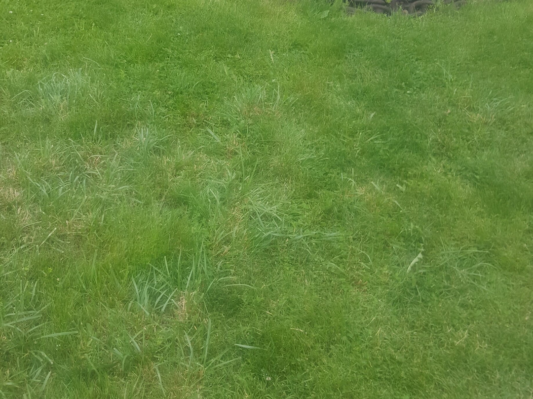 Sydney Downtown Development Association-悉尼必去景点