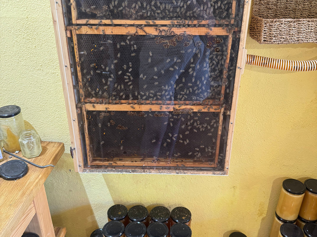 OPG Komparak-科尔丘拉镇必去景点