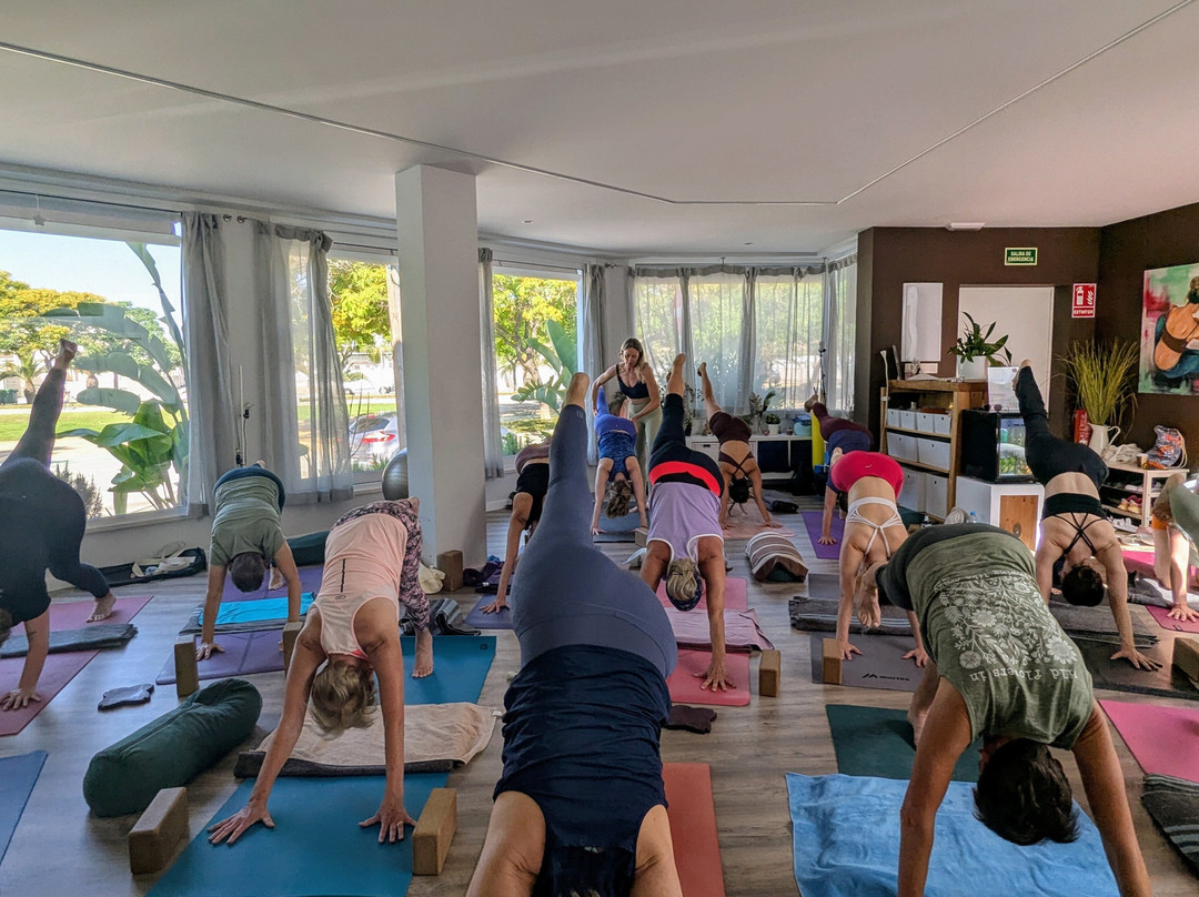 ReAlign International Yoga School-Torre de la Horadada必去景点