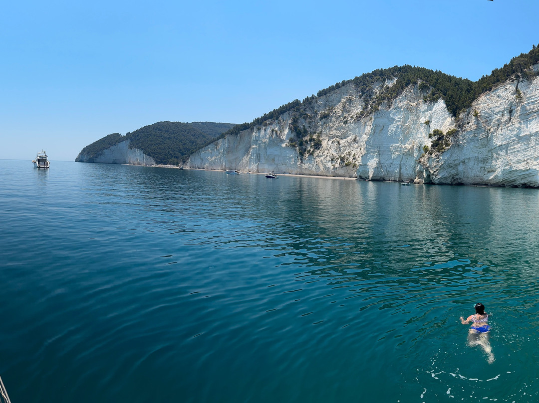 Caicco Norita Vieste-维耶斯泰必去景点