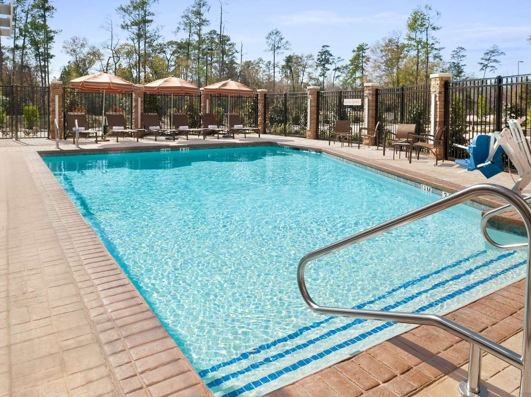 伍德兰兹酒店住宿-休斯顿/兀兰凯悦广场酒店