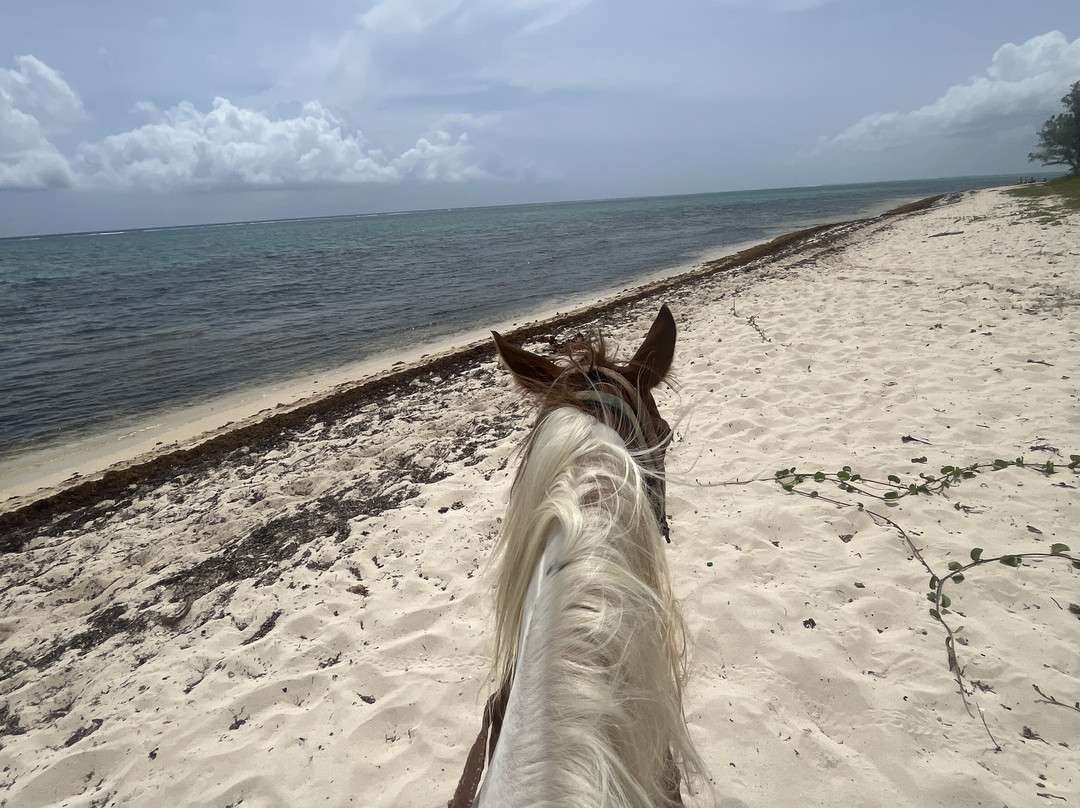 Spirit of the West-西湾必去景点