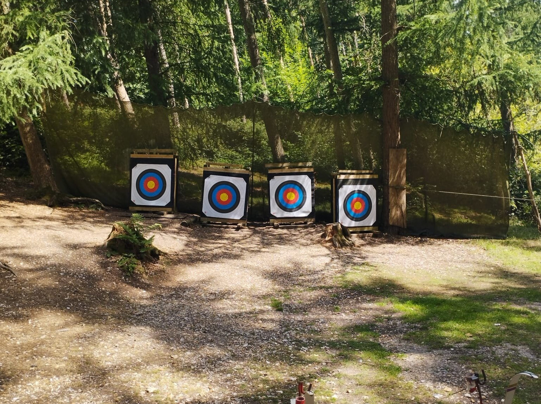 Insight Activities New Forest-Fordingbridge必去景点