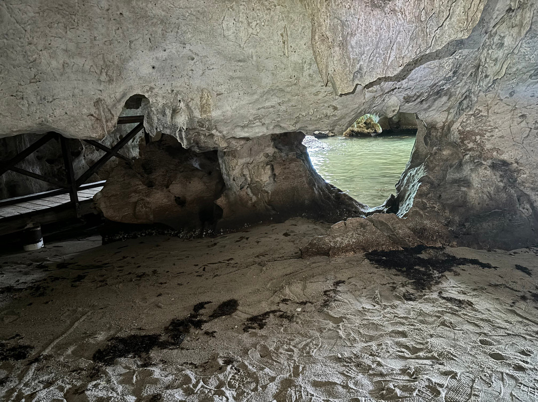 Action Tours By J Raven-Las Galeras必去景点