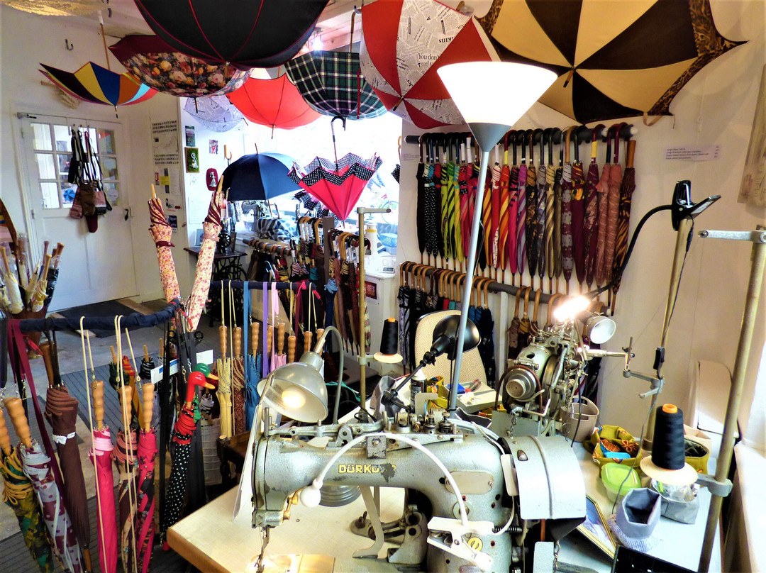 La Maison des Parapluies-布洛瓦必去景点