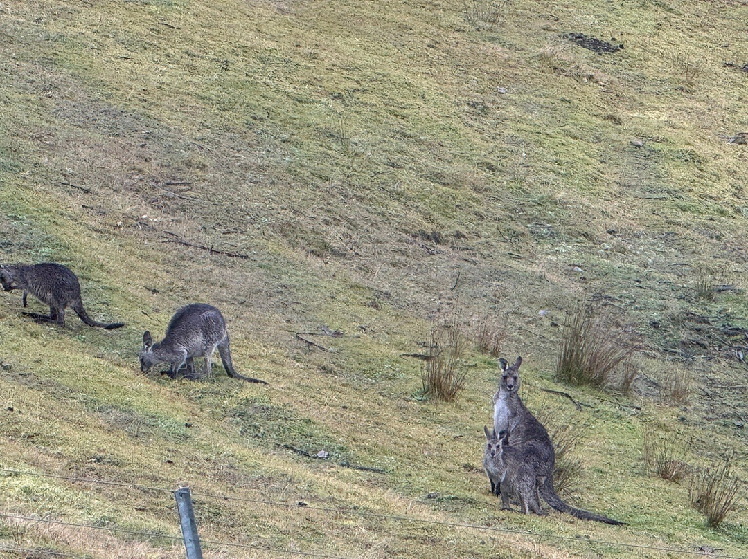 Springmead B&B主图