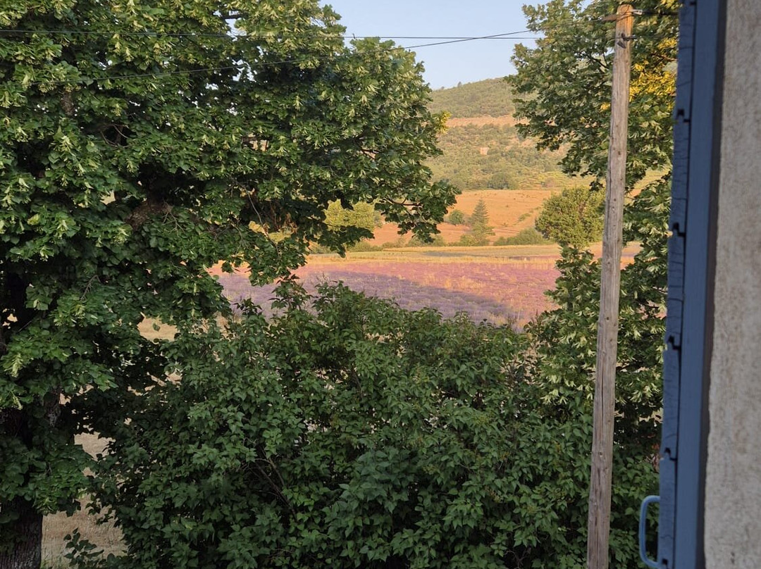 La Bastide Des Bourguets主图