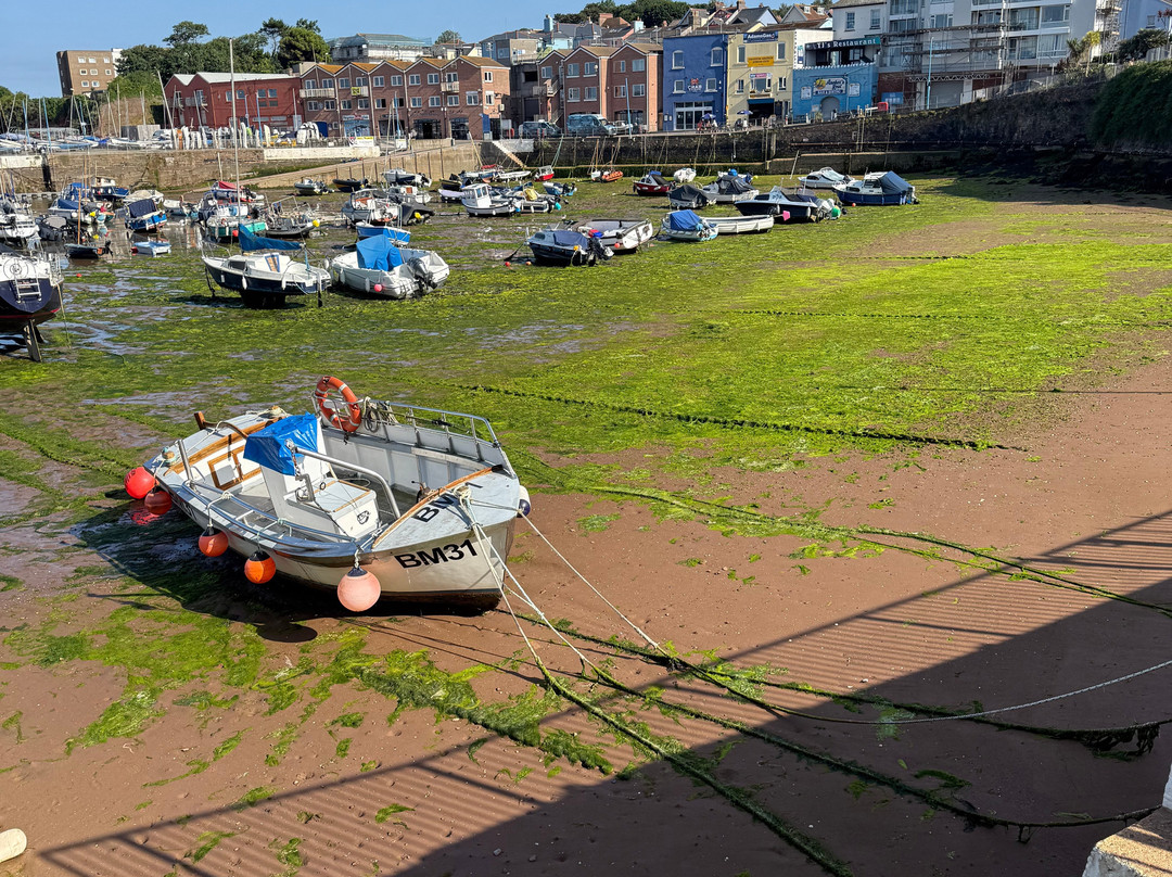 Torland Hotel - Paignton Seafront主图