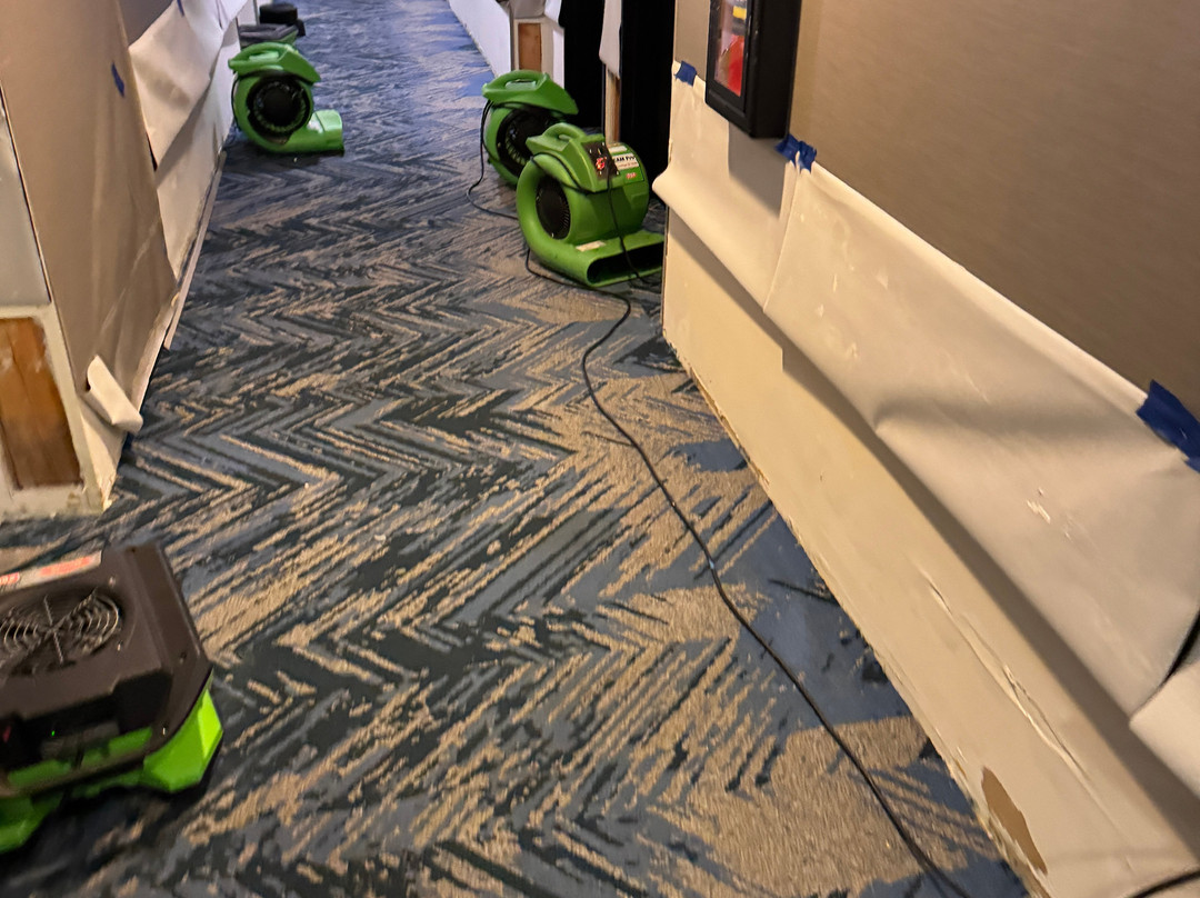 Cambria hotel & suites Minneapolis Maple Grove主图