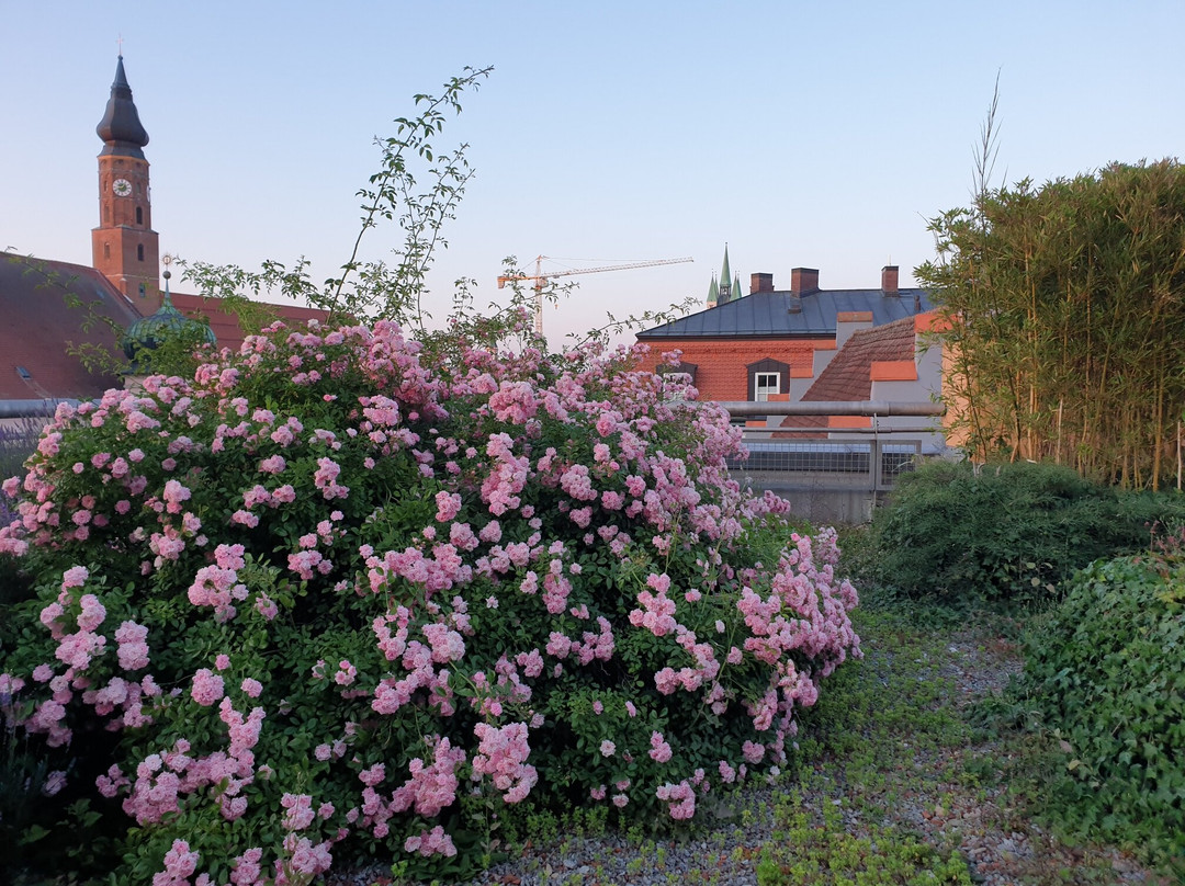 塞热西恩托尔酒店主图