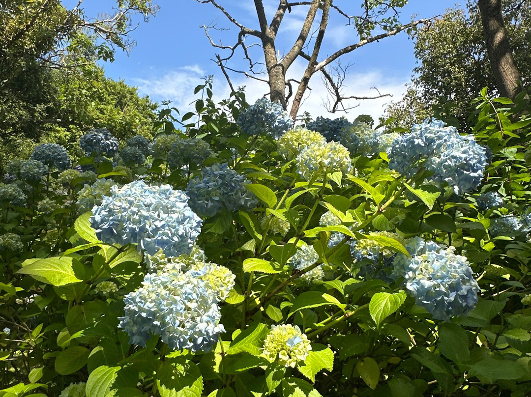 Jardin Shamrock-Varengeville-sur-Mer必去景点