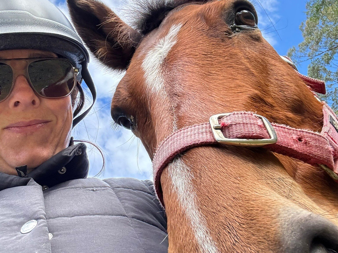 Chapman Valley Horse Riding-Howes Valley必去景点