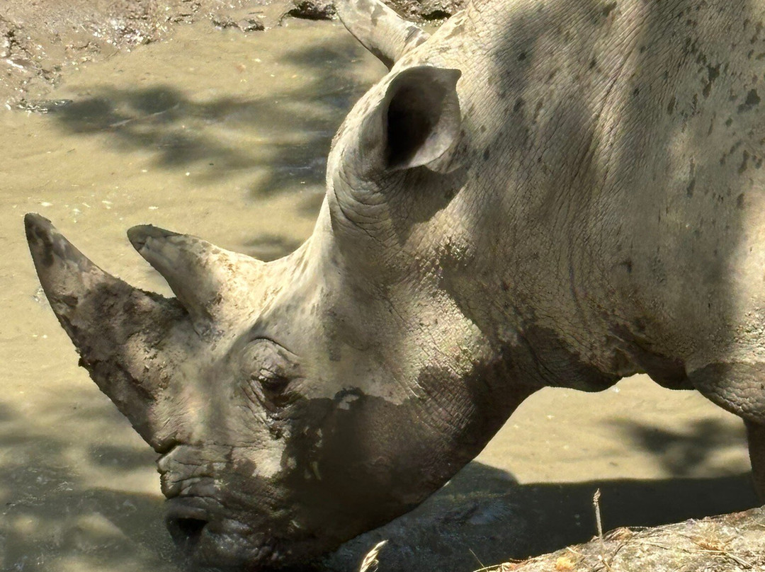Indianapolis Zoo-印第安纳波利斯必去景点