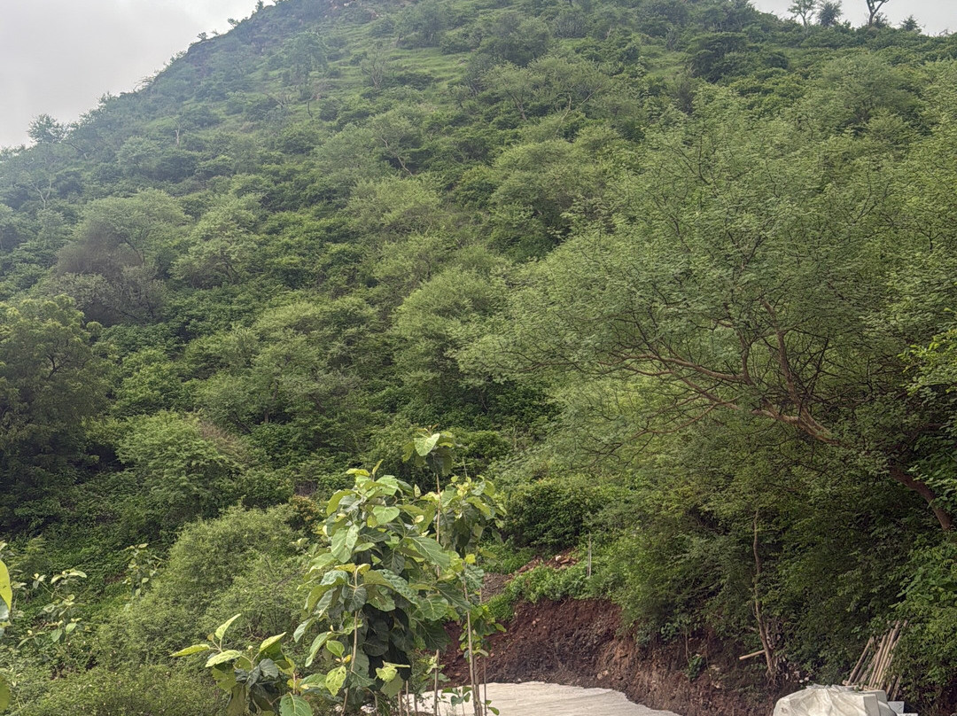 The Divine Hills Resort主图