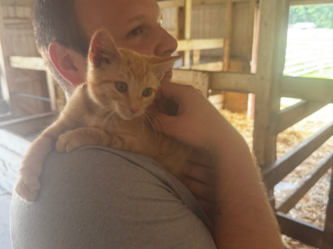 The Farm-斯特金贝必去景点