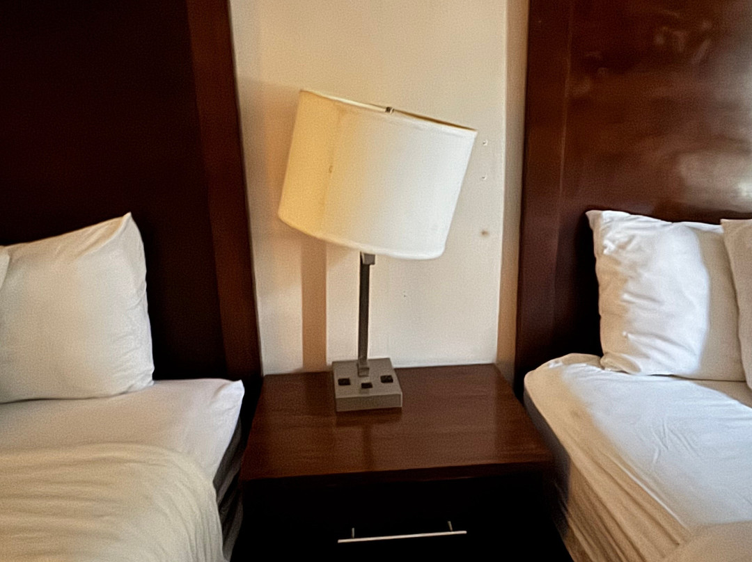 Comfort Suites Stafford Near Sugarland主图