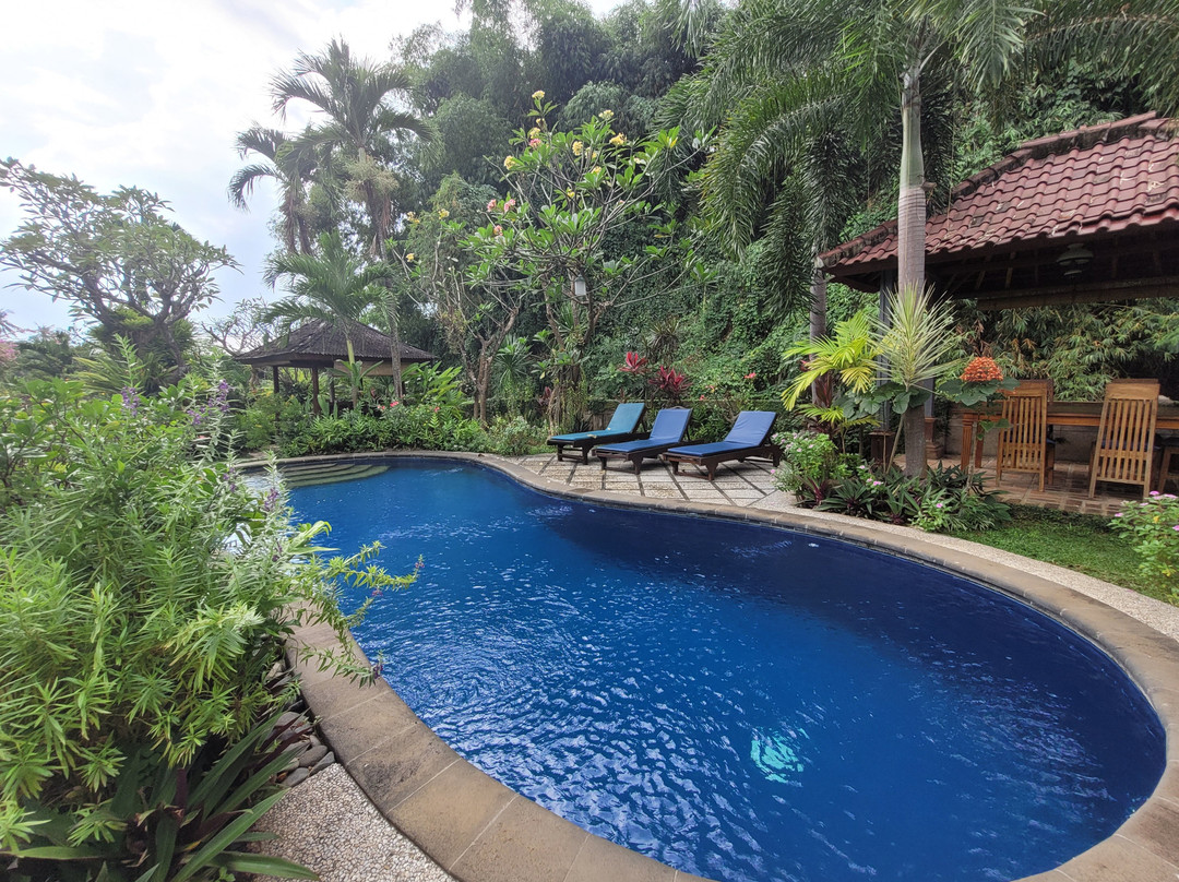 萨拉斯瓦蒂度假屋主图