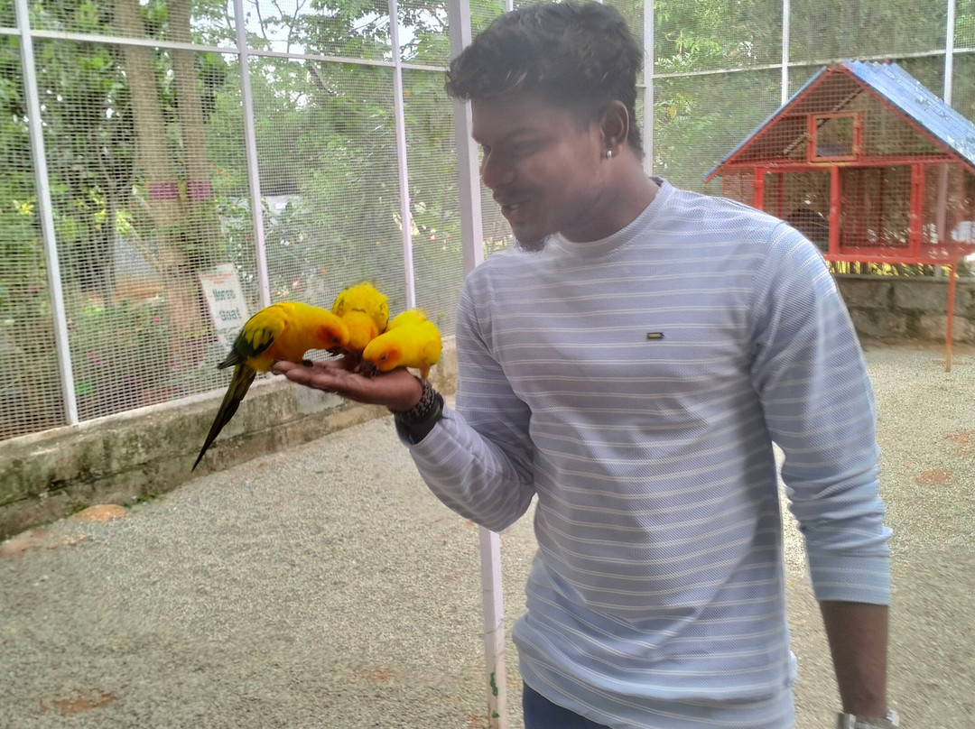 Cloud Forest Entertainment Park
