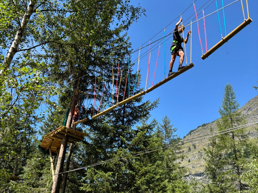 Arboria Aventures - Champagny-Champagny-en-Vanoise必去景点