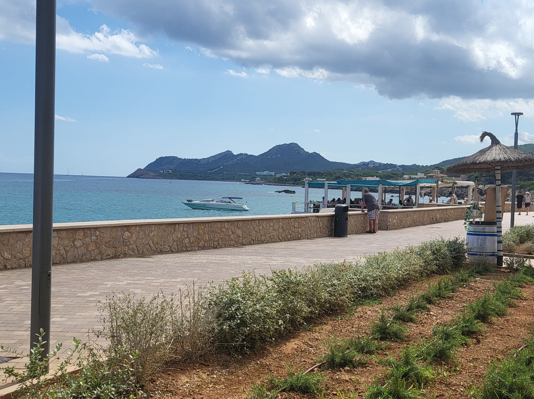 Platja de Son Moll-Cala Ratjada必去景点