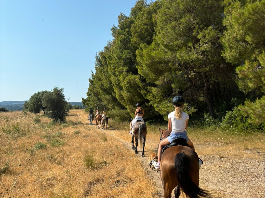 Horse-Ranch Manippos Halkidiki-Kassandra必去景点