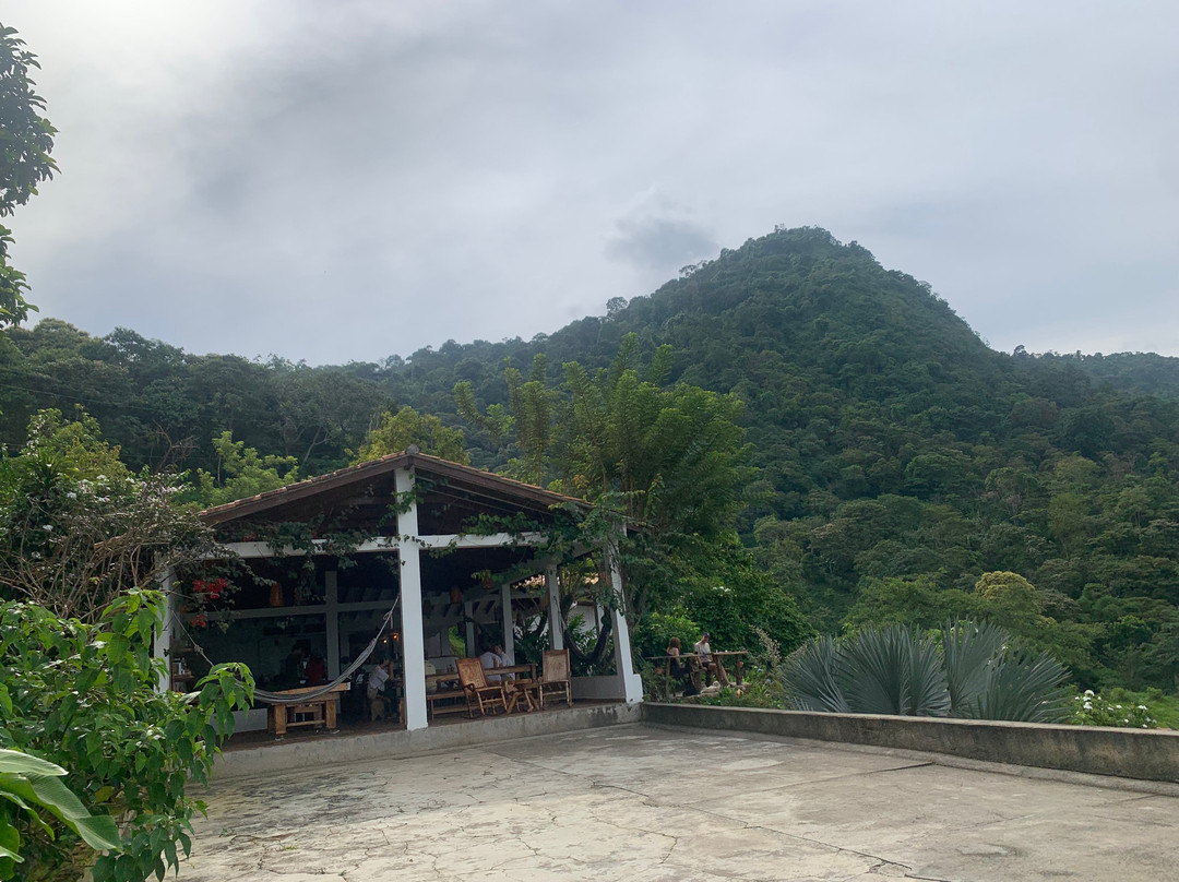 Mundo Nuevo Eco Lodge主图