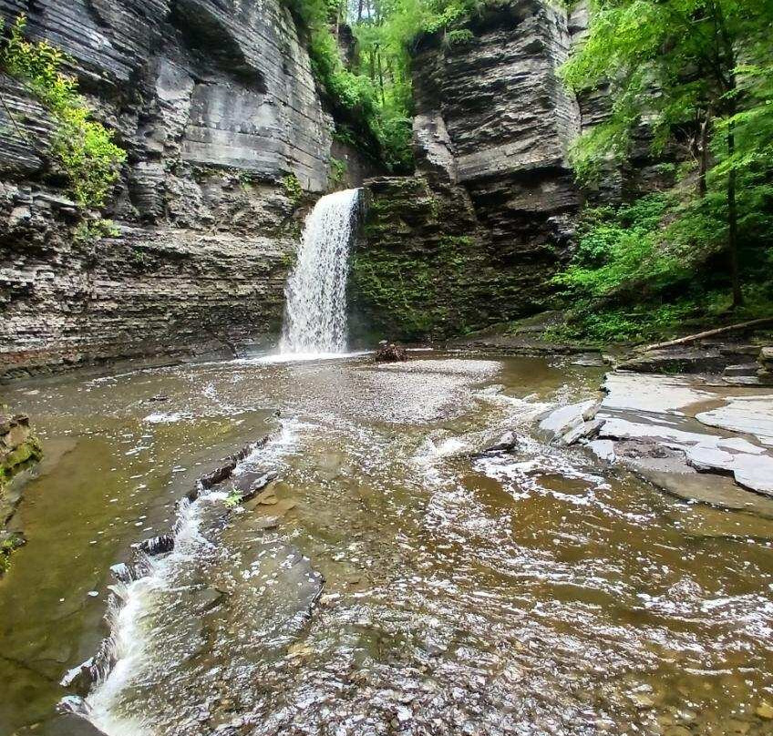 The Hotel Laurel at Seneca主图