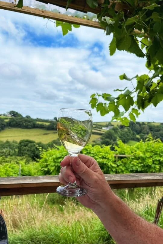 Looe Valley Vineyard-卢城必去景点