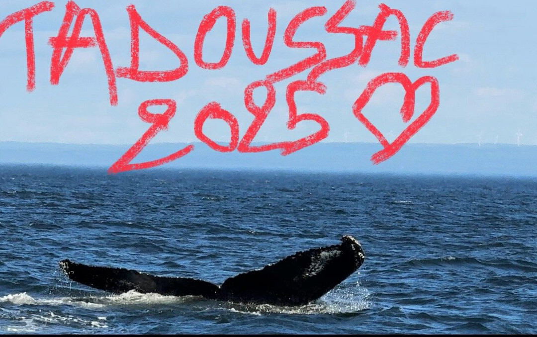 Tadoussac Autrement-泰道沙克必去景点