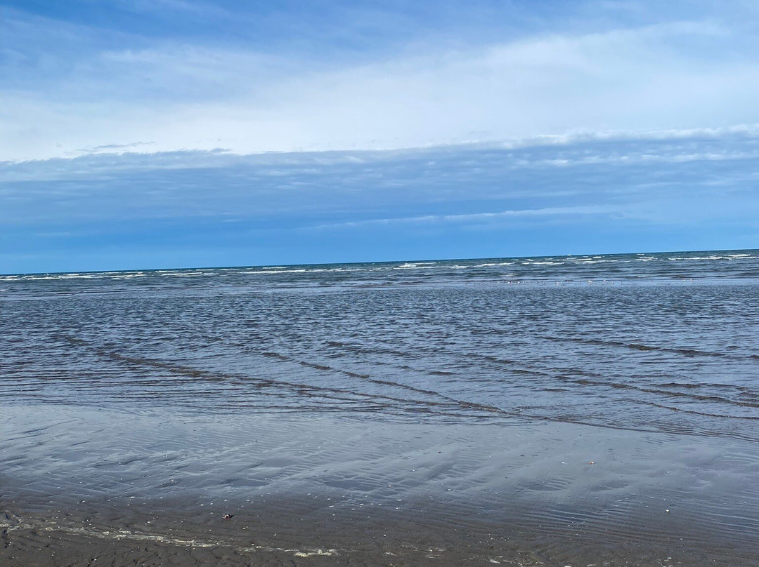 Giardino Botanico Litoraneo di Porto Caleri-罗索利纳必去景点