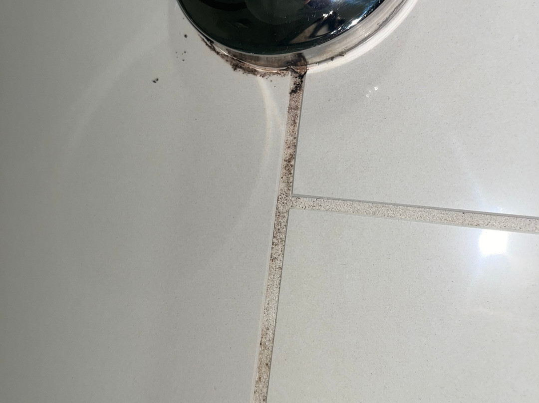 凯悦嘉轩酒店-罗阿诺克机场/山谷景购物中心主图