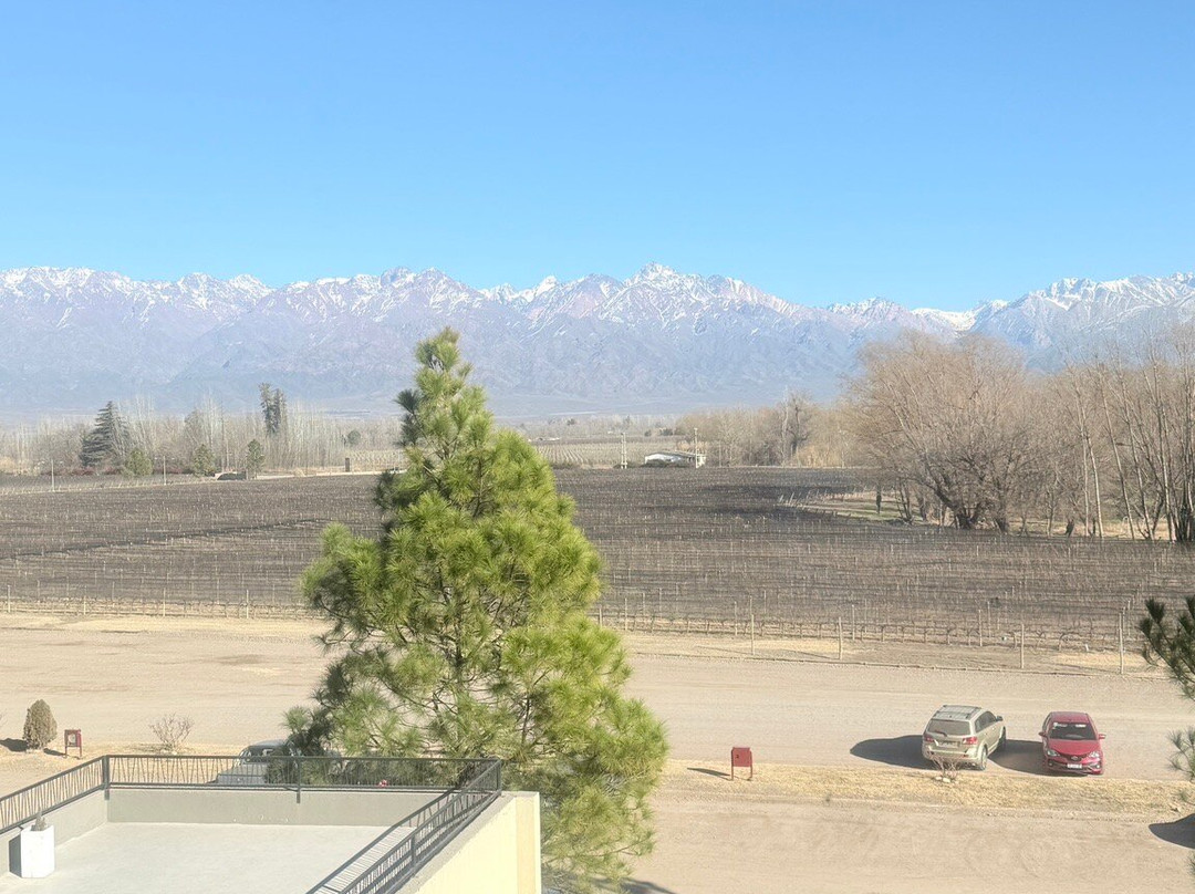 丰市长度假酒店主图