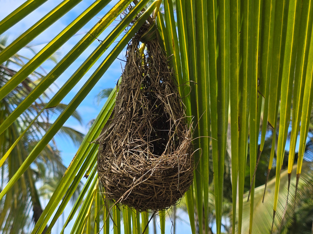 Trilha das Quatro Praias-Itacare必去景点