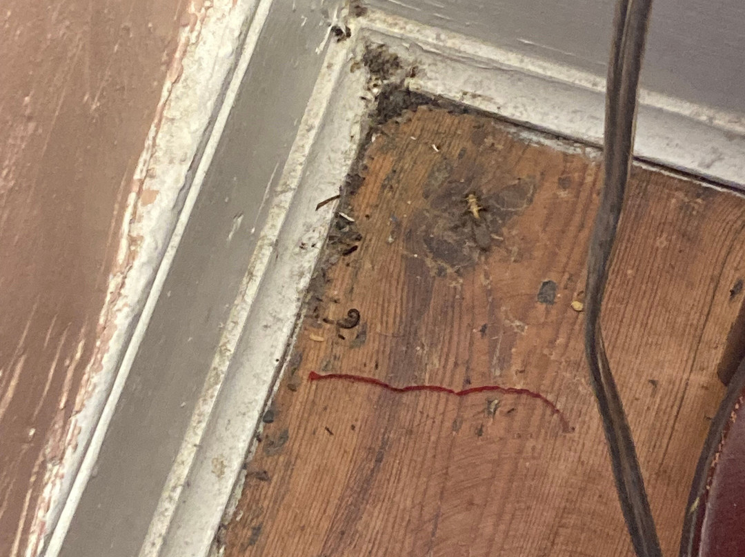 The Town's Inn主图