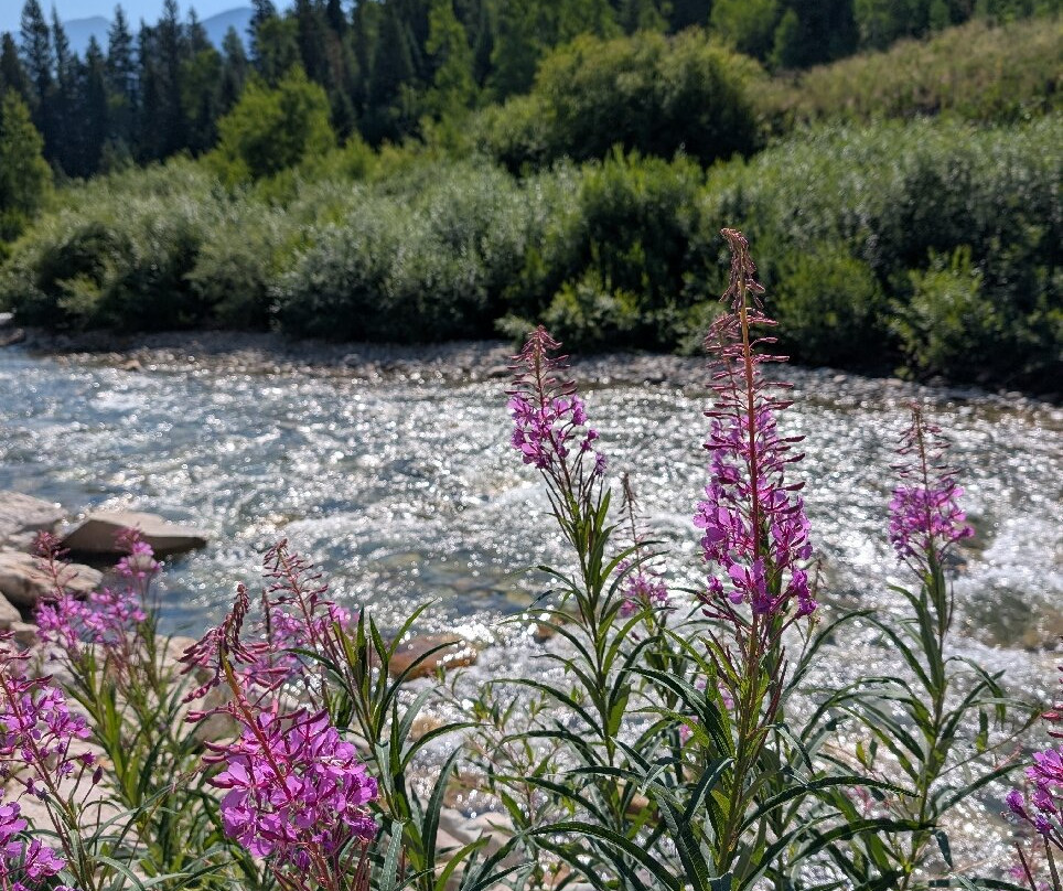 RPS Rentals-Marble必去景点