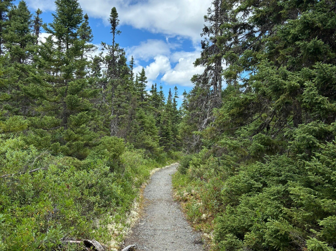 Terra Nova National Park-Glovertown必去景点