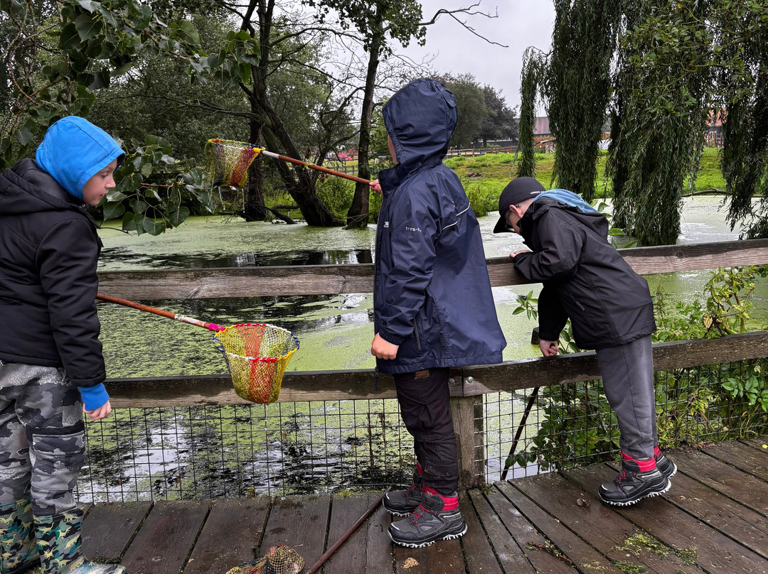Easton Farm Park-Easton必去景点
