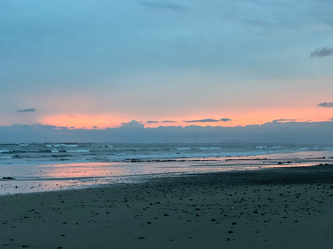 Horizonte Horse Experience